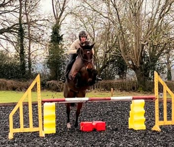 IMG-20230122-WA0008.jpg IMG-20230122-WA0008.jpg