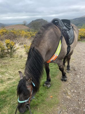 342424602_1395136317943455_7959810447951687869_n.jpg 342424602_1395136317943455_7959810447951687869_n.jpg