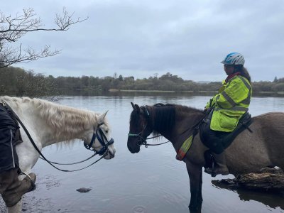 342346776_1359012831310718_5301429030384670831_n.jpg 342346776_1359012831310718_5301429030384670831_n.jpg