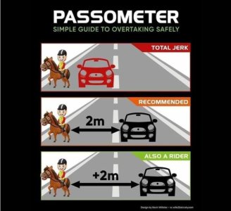 Equine Road Safety 2021-01-15_08-08-56.jpg