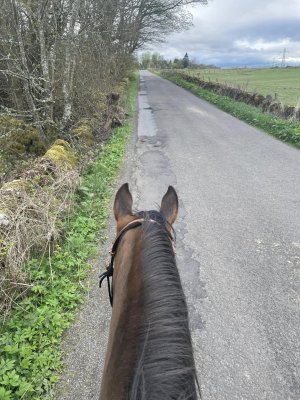 342486080_1008041216833779_2626375461191039269_n.jpg 342486080_1008041216833779_2626375461191039269_n.jpg