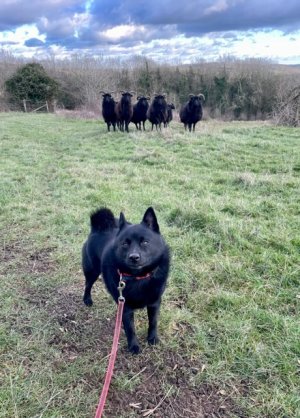 IMG_0542.jpeg IMG_0542.jpeg