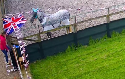 344786820_1044445843186218_4664527009317032422_n.jpg 344786820_1044445843186218_4664527009317032422_n.jpg