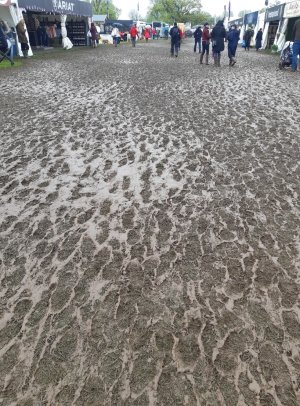 20230507_070835.jpg 20230507_070835.jpg