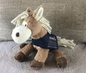 IMG_3655.jpeg IMG_3655.jpeg