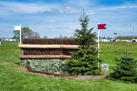 9E37E754-7F38-4153-871C-253F2EBB848C.jpeg 9E37E754-7F38-4153-871C-253F2EBB848C.jpeg