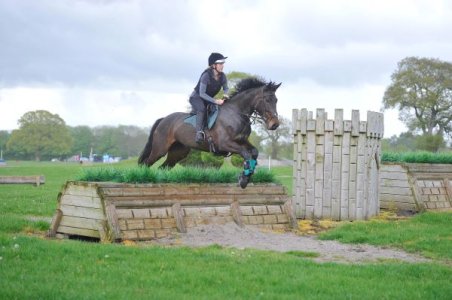 Lottie box brush.jpg Lottie box brush.jpg