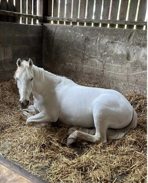 CDFAED59-C06F-424A-B8DE-CE36F33813E4.jpeg CDFAED59-C06F-424A-B8DE-CE36F33813E4.jpeg