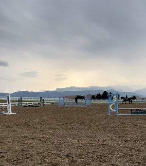 DADC838E-4432-4A8E-A760-144DF517EA3D.jpeg DADC838E-4432-4A8E-A760-144DF517EA3D.jpeg