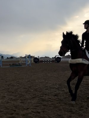 2A9E5C65-A0A1-4F01-B5D8-2F92B35F08C9.jpeg 2A9E5C65-A0A1-4F01-B5D8-2F92B35F08C9.jpeg