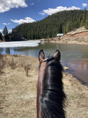 DC8C375A-EEFC-477F-A207-B5EE6260C0D2.jpeg DC8C375A-EEFC-477F-A207-B5EE6260C0D2.jpeg