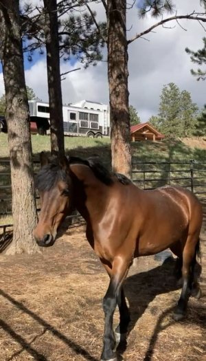 E05D46F4-3098-4273-82DC-086AC3C17BC7.jpeg E05D46F4-3098-4273-82DC-086AC3C17BC7.jpeg