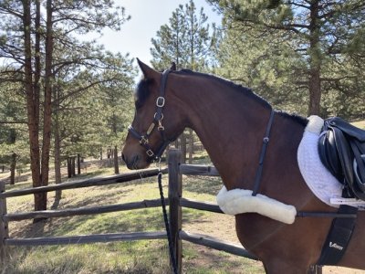 8E02E5DF-93EC-4C86-9D4A-55B1BE918C7C.jpeg 8E02E5DF-93EC-4C86-9D4A-55B1BE918C7C.jpeg