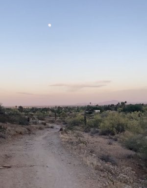 4A89D73E-901A-458C-8977-3866456C82B5.jpeg 4A89D73E-901A-458C-8977-3866456C82B5.jpeg