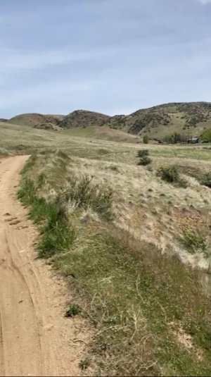 BC069159-4856-4F09-BAF4-67F454CD97B7.jpeg BC069159-4856-4F09-BAF4-67F454CD97B7.jpeg