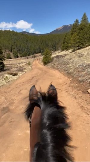 7ACA9C97-C8FD-4BDB-927B-679723A109E0.jpeg 7ACA9C97-C8FD-4BDB-927B-679723A109E0.jpeg