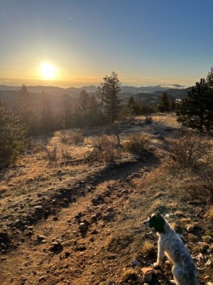 7C995105-053D-4918-938B-A8BBF8AE5D3F.jpeg 7C995105-053D-4918-938B-A8BBF8AE5D3F.jpeg