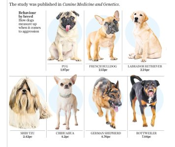 2E811C4C-134A-4ABC-8DD6-1E962602D740.jpeg 2E811C4C-134A-4ABC-8DD6-1E962602D740.jpeg