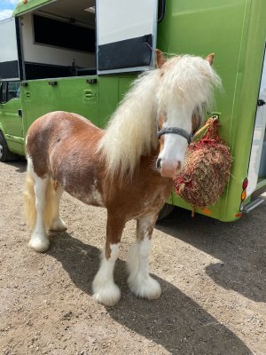 E6807717-5DE8-435F-A0B3-1635E036F238.jpeg E6807717-5DE8-435F-A0B3-1635E036F238.jpeg