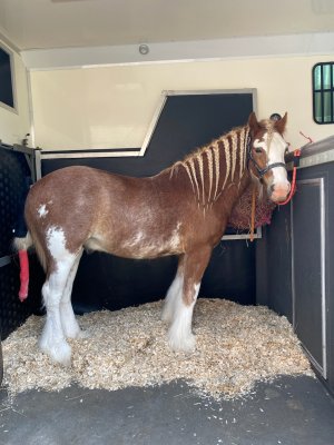 C8D91D60-21F2-4679-ADB2-1740CD22BAA1.jpeg C8D91D60-21F2-4679-ADB2-1740CD22BAA1.jpeg