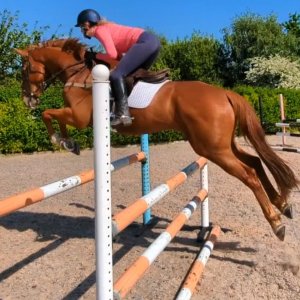 IMG_20230520_225306_883.jpg IMG_20230520_225306_883.jpg