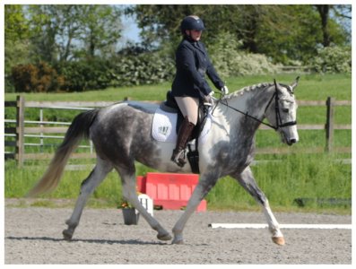 IMG_3473.jpeg IMG_3473.jpeg