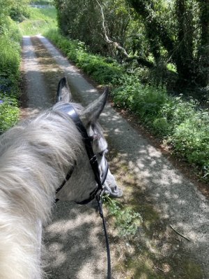 IMG_4358.jpeg IMG_4358.jpeg