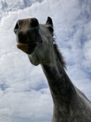 IMG_4354.jpeg IMG_4354.jpeg