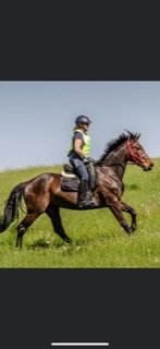 2A3CA03D-A89F-4FD9-90EF-D7BC88111CC4.jpeg 2A3CA03D-A89F-4FD9-90EF-D7BC88111CC4.jpeg