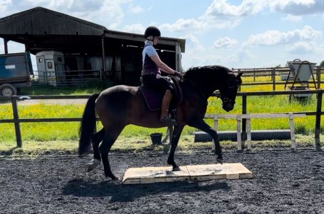 f9c61ee1-2187-48b4-a90d-ec2b46a26ebd.JPG f9c61ee1-2187-48b4-a90d-ec2b46a26ebd.JPG