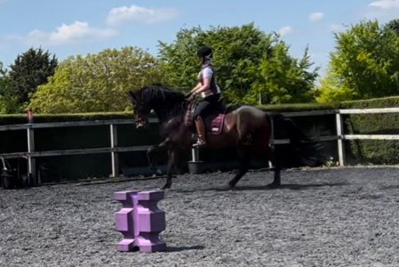 b69ddec8-c1a7-4b36-9ac4-0b8ba012119b.JPG b69ddec8-c1a7-4b36-9ac4-0b8ba012119b.JPG