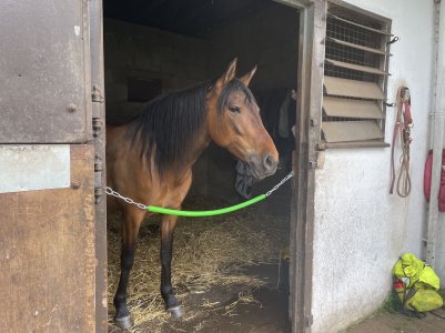 IMG_2031.JPG IMG_2031.JPG