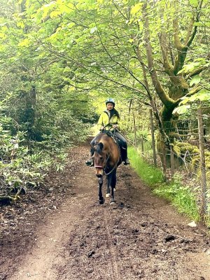 5879FC90-8C95-486F-B100-D4E07E2D7AEF_1_201_a.jpeg 5879FC90-8C95-486F-B100-D4E07E2D7AEF_1_201_a.jpeg