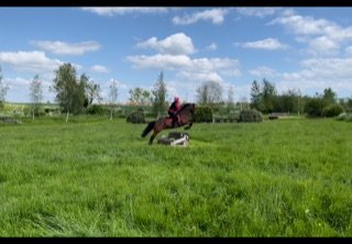 IMG_0678.jpg IMG_0678.jpg