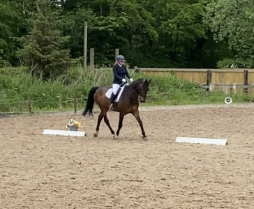 52D5E7CA-F840-4CA2-8BCB-1F60286AA4C9.jpeg 52D5E7CA-F840-4CA2-8BCB-1F60286AA4C9.jpeg