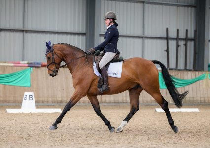 20230522133421795.jpeg 20230522133421795.jpeg