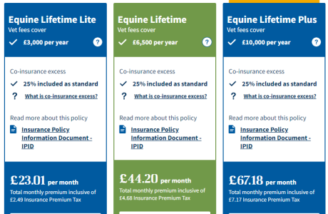 1684841546011.png 1684841546011.png