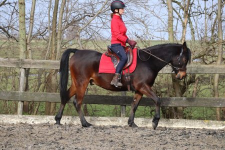 PHOTO-2023-03-12-17-30-32 2.jpg PHOTO-2023-03-12-17-30-32 2.jpg