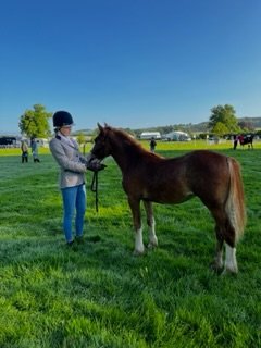 IMG_0180.jpeg IMG_0180.jpeg