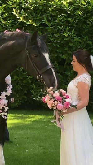 349254683_934384187848334_1938298216861920219_n (1).jpg