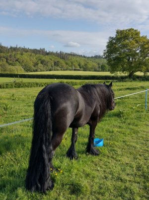 Screenshot_20230516-204923~2.png Screenshot_20230516-204923~2.png