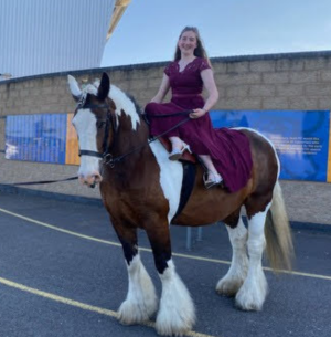 Screenshot 2023-05-29 131517.png