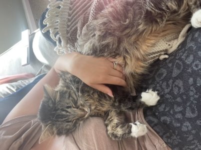 870E7219-6A47-4BC2-8A7D-85CF105060EE.jpeg 870E7219-6A47-4BC2-8A7D-85CF105060EE.jpeg