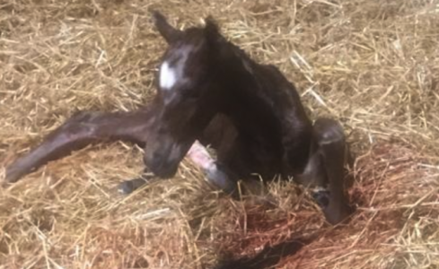 Screenshot 2023-06-02 at 09.41.51.png Screenshot 2023-06-02 at 09.41.51.png