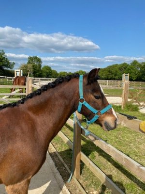 IMG_4189.jpeg IMG_4189.jpeg