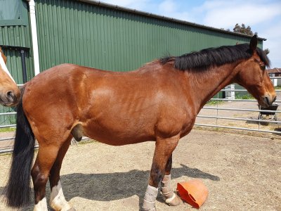 352327866_692193386000504_5740317227153408032_n.jpg 352327866_692193386000504_5740317227153408032_n.jpg