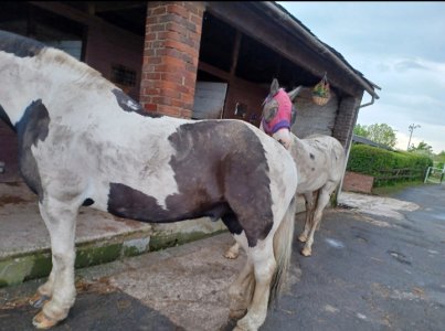 Screenshot_20230607_193549_Gallery.jpg Screenshot_20230607_193549_Gallery.jpg