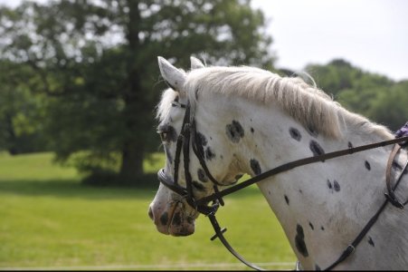 Screenshot_20230607_193259_Gallery.jpg Screenshot_20230607_193259_Gallery.jpg