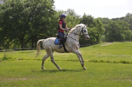 Screenshot_20230607_193333_Gallery.jpg Screenshot_20230607_193333_Gallery.jpg