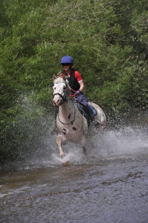 Screenshot_20230607_193347_Gallery.jpg Screenshot_20230607_193347_Gallery.jpg